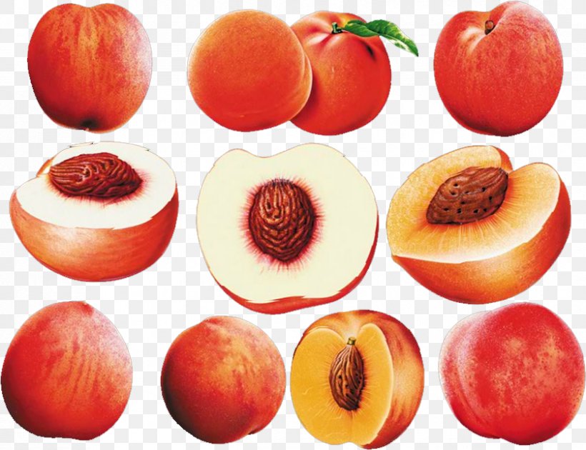 Peach Diet Chinese Food Therapy Dysmenorrhea, PNG, 839x645px, Peach, Apple, Auglis, Bloating, Blood Stasis Download Free