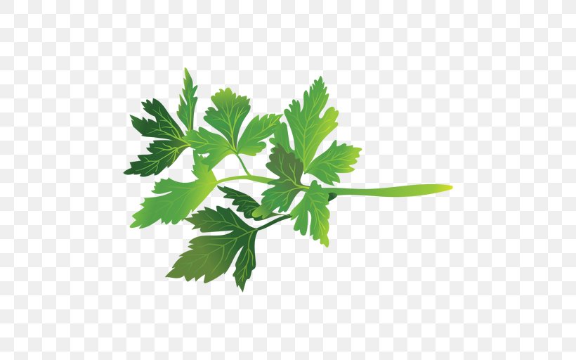 Parsley Coriander Herb, PNG, 512x512px, Parsley, Branch, Coriander, Food, Herb Download Free