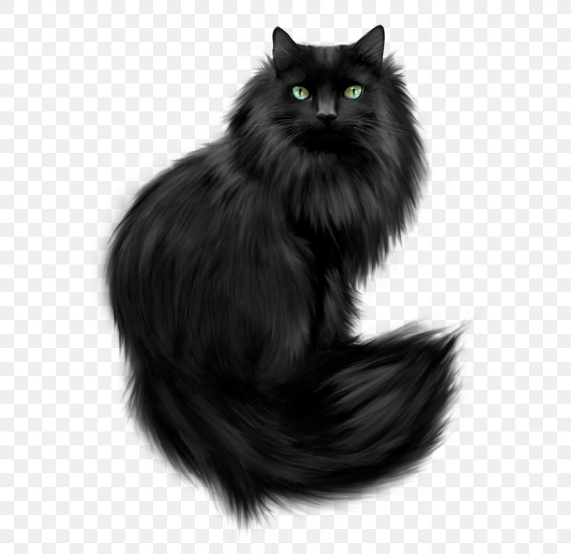 Kitten Cat Dog Puppy Clip Art, PNG, 600x796px, Norwegian Forest Cat, Asian Semi Longhair, Black, Black And White, Black Cat Download Free