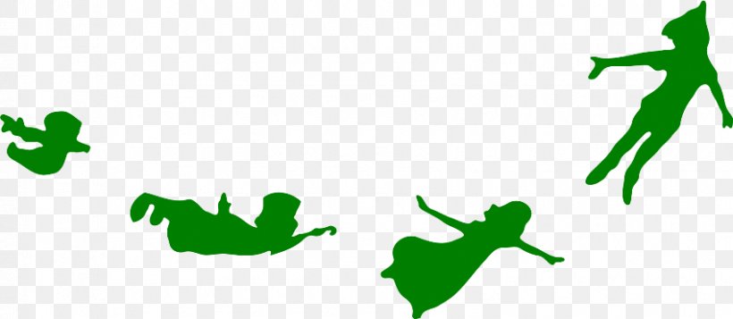 Peter And Wendy Tinker Bell Peter Pan Wendy Darling, PNG, 850x371px, Peter And Wendy, Captain Hook, Drawing, Flying, Green Download Free