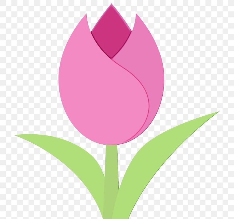 Pink Flower Cartoon, PNG, 768x768px, Tulip, Ard, Bud, Computer, Das Erste Download Free