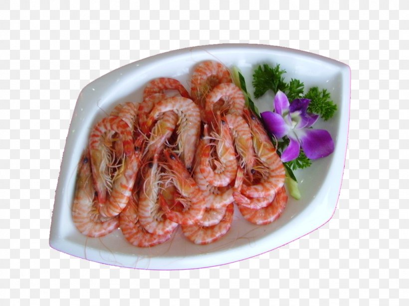Steamed Prawn, PNG, 1024x768px, Shrimp, Animal Source Foods, Caridean Shrimp, Cuisine, Dish Download Free