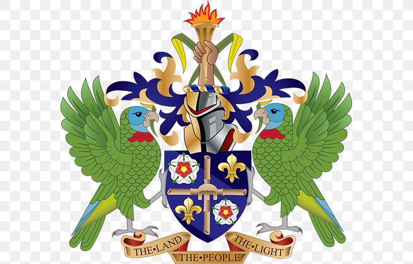 Geography Of Saint Lucia Coat Of Arms Of Saint Lucia National Symbols Of Saint Lucia Saint Vincent And The Grenadines, PNG, 579x525px, Geography Of Saint Lucia, Art, Beak, Bird, Caribbean Download Free