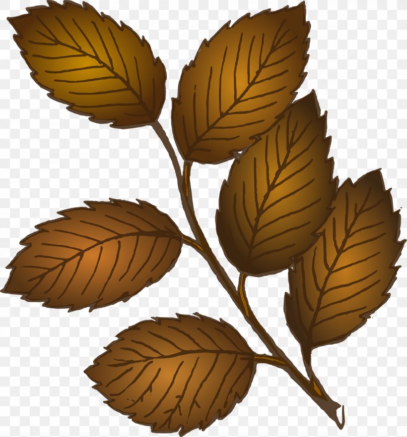Look At Leaves Autumn Leaf Color Clip Art, PNG, 1190x1280px, Look At Leaves, Autumn, Autumn Leaf Color, Branch, Green Download Free