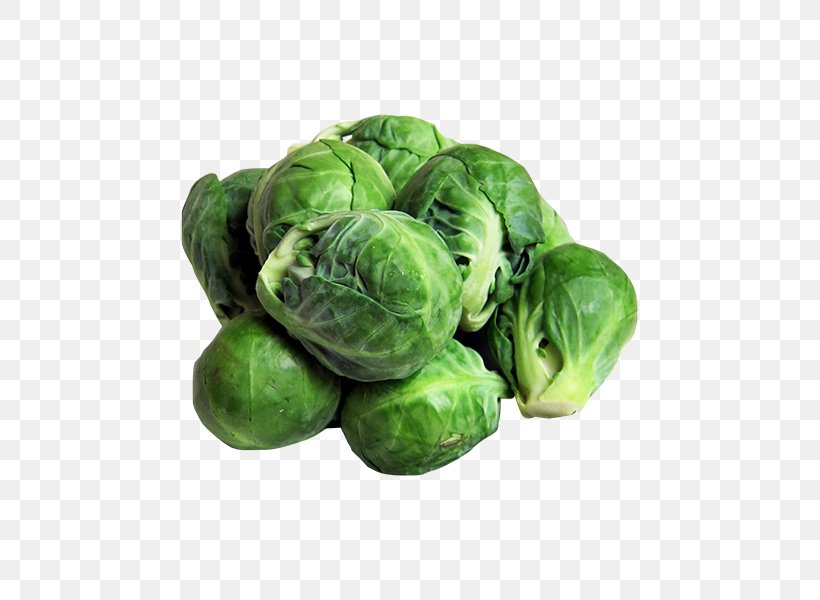 Brussels Sprout Vegetable Eggplant Food, PNG, 600x600px, Brussels Sprout, Brassica Oleracea, Broccoli, Cabbage, Cauliflower Download Free