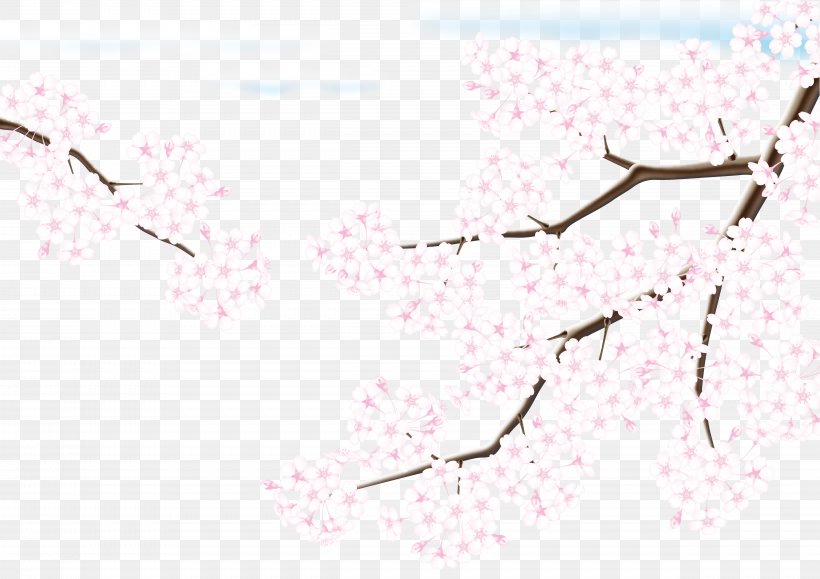 Cherry Blossom Adobe Illustrator, PNG, 4961x3508px, Cherry Blossom, Blossom, Branch, Cerasus, Diagram Download Free