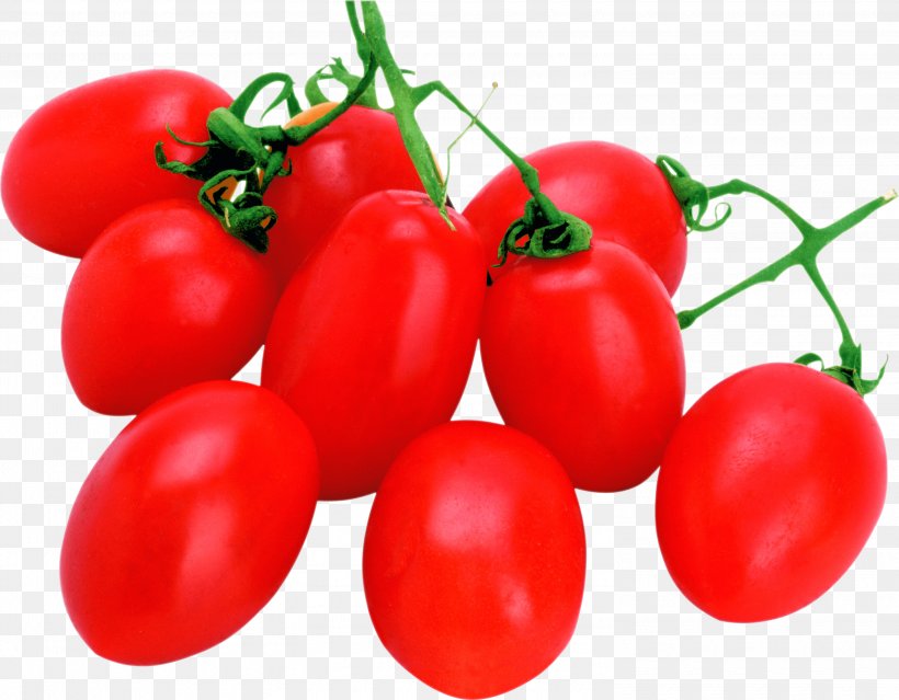 Cherry Tomato Clip Art, PNG, 3000x2339px, Cherry Tomato, Berry, Bush Tomato, Cherry, Diet Food Download Free