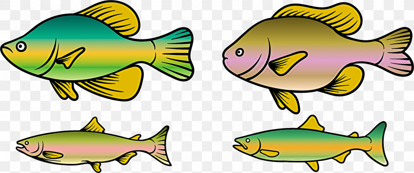 Fish Fish Fin Fish Products Bony-fish, PNG, 2388x1001px, Fish, Bonyfish, Fin, Fish Products, Perch Download Free
