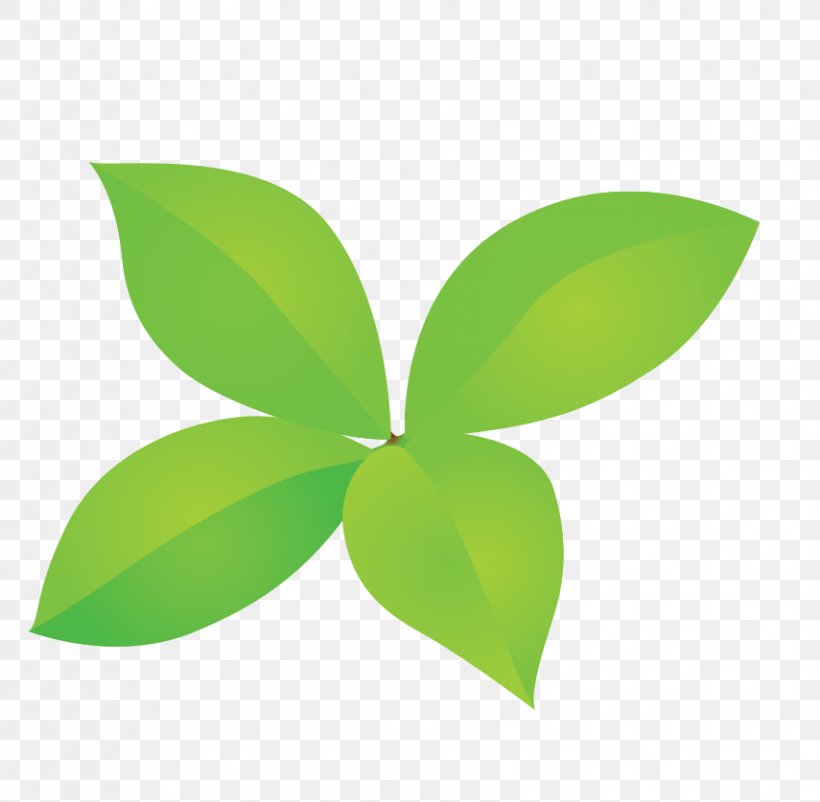 Green Four-leaf Clover Bud, PNG, 855x837px, Green, Bud, Clover, Designer, Fourleaf Clover Download Free