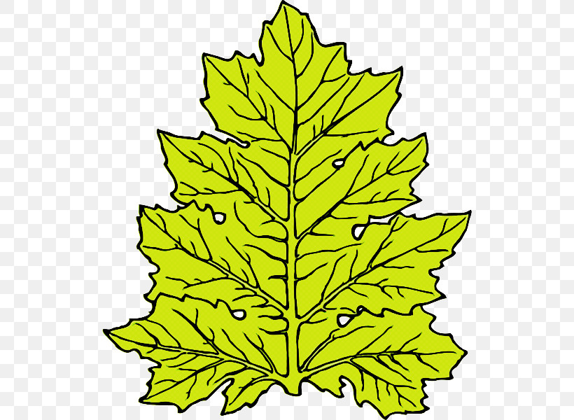 Leaf Plant Stem Symmetry Line Tree, PNG, 600x600px, Leaf, Biology, Branching, Geometry, Line Download Free