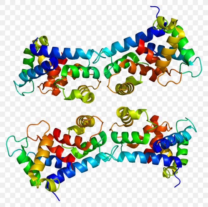 S100A9 Calgranulin S100 Protein Serpin, PNG, 891x887px, Protein, Area, Body Jewelry, Cell, Enzyme Download Free