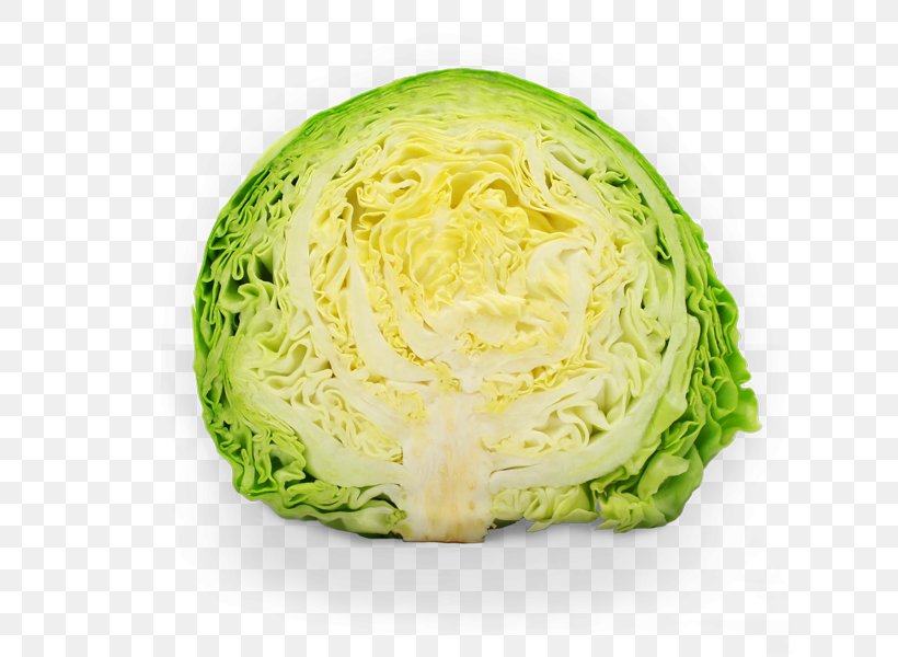 Cabbage Cauliflower Broccoli Dutch Cuisine Vegetable, PNG, 650x600px, Cabbage, Brassica Oleracea, Broccoli, Cauliflower, Chinese Cabbage Download Free