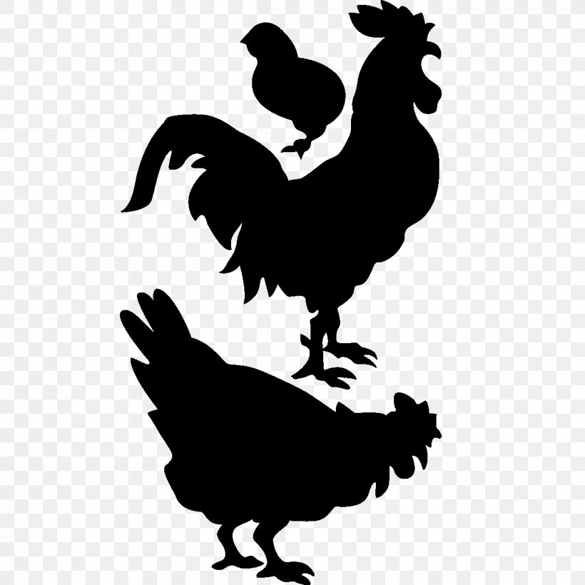 Rooster Chicken Rose Acre Farms Seymour, PNG, 1200x1200px, Rooster, Acre, Beak, Bird, Black And White Download Free