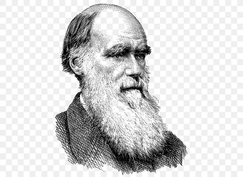 Charles Darwin On The Origin Of Species Evolution Naturalist T-shirt, PNG, 501x600px, Charles Darwin, Beard, Black And White, Chin, Common Descent Download Free
