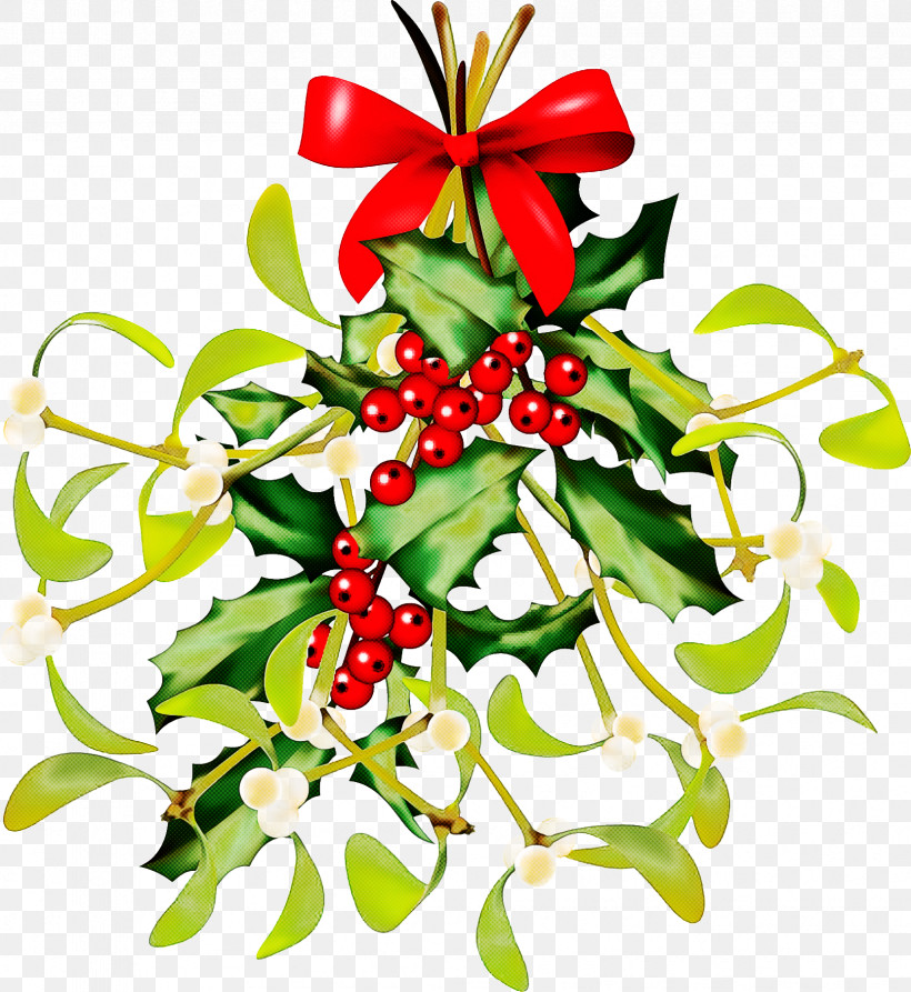 Christmas Decoration, PNG, 1662x1810px, Holly, Christmas Decoration, Flower, Plant Download Free