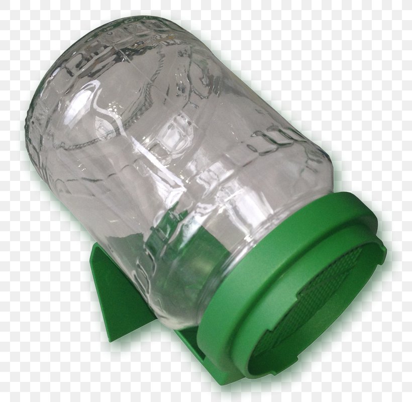 Glass Plastic Sprouting Jar Seed, PNG, 800x800px, Glass, Avogel France, Embryo, Food, Green Download Free