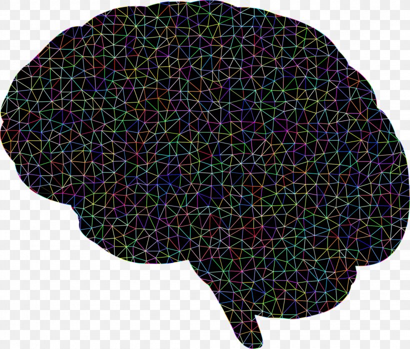 Human Brain Neuron Clip Art, PNG, 2312x1970px, Watercolor, Cartoon, Flower, Frame, Heart Download Free
