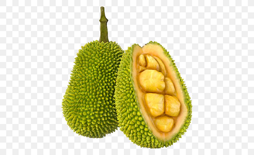 Jackfruit Cempedak 3D Modeling TurboSquid, PNG, 500x500px, 3d Computer Graphics, 3d Modeling, Jackfruit, Artocarpeae, Artocarpus Download Free