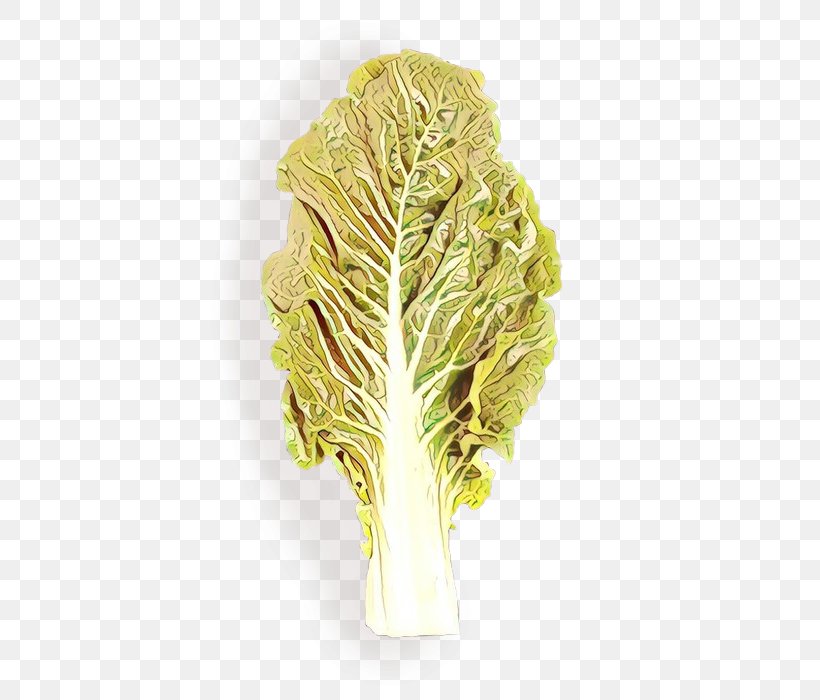 Vegetables Cartoon, PNG, 700x700px, Chard, Cabbage, Celtuce, Chinese Cabbage, Flower Download Free