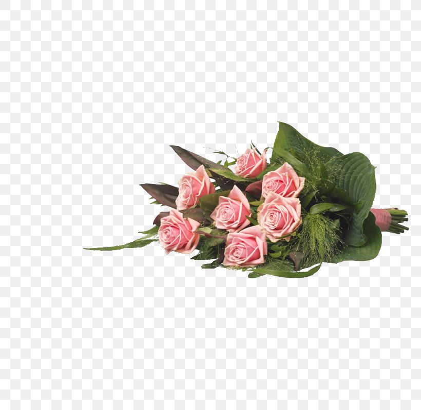 Garden Roses Funeralco Wommelgem Kapellen Lint, PNG, 800x800px, Garden Roses, Artificial Flower, Cut Flowers, Floral Design, Floristry Download Free