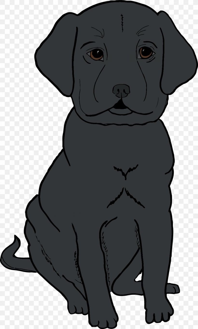 Labrador Retriever Puppy Dog Breed Whiskers, PNG, 1088x1800px, Labrador Retriever, Black, Black And White, Breed, Carnivoran Download Free