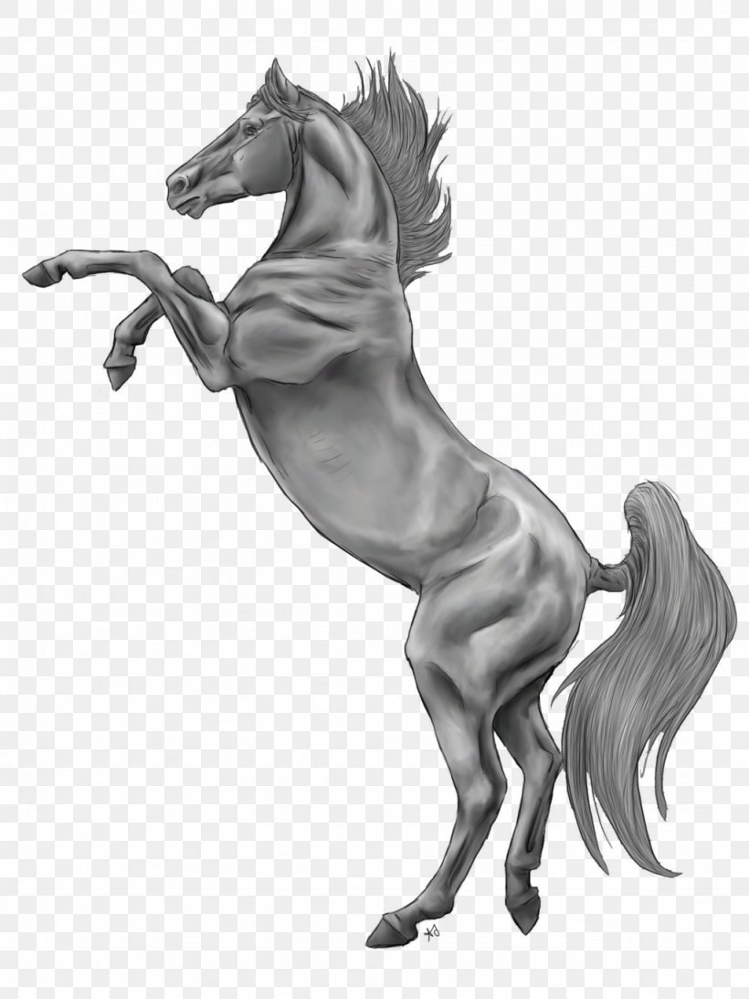 Mane Pony Foal Mustang Stallion, PNG, 1024x1365px, Mane, Animal Figure, Art, Black And White, Colt Download Free