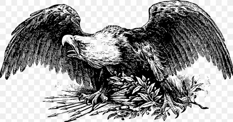 Sticker Bald Eagle Canada Clip Art, PNG, 960x504px, Sticker, Bald Eagle, Beak, Bird, Bird Of Prey Download Free
