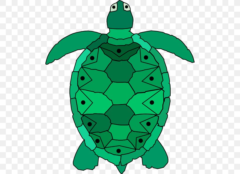 Hawksbill Sea Turtle Clip Art, PNG, 510x595px, Turtle, Drawing, Fictional Character, Green, Green Sea Turtle Download Free