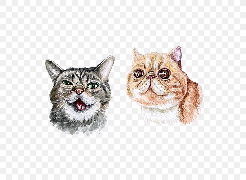 Kitten Cat Whiskers Watercolor Painting Illustration, PNG, 600x600px, Kitten, Animal, Art, Asian, Carnivoran Download Free