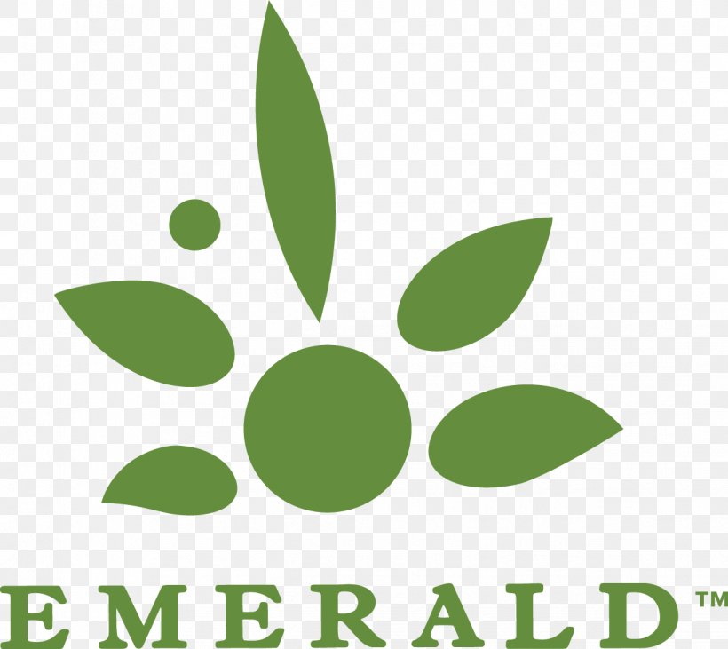 Logo Product Brand Font Green, PNG, 1238x1105px, Logo, Brand, Emerald, Flower, Grass Download Free