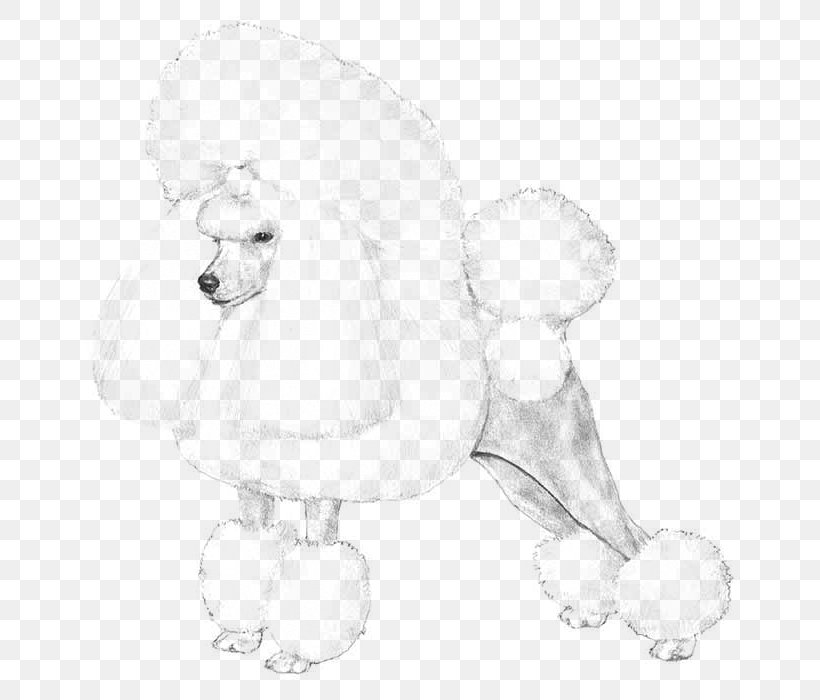 Poodle Dog Breed Puppy Companion Dog Non-sporting Group, PNG, 700x700px, Poodle, Art, Artwork, Bear, Black And White Download Free