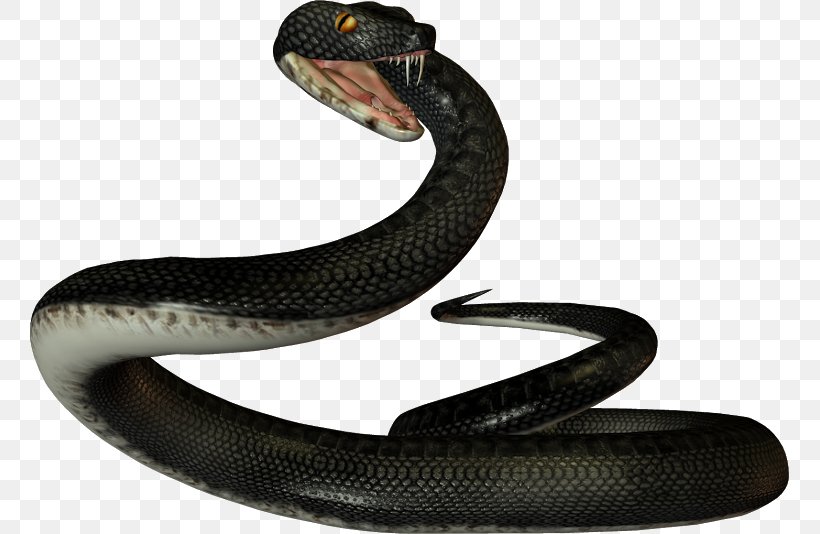 Snake Reptile Vipers Clip Art, PNG, 759x534px, Snake, Animal, Elapidae, Kingsnake, Kingsnakes Download Free