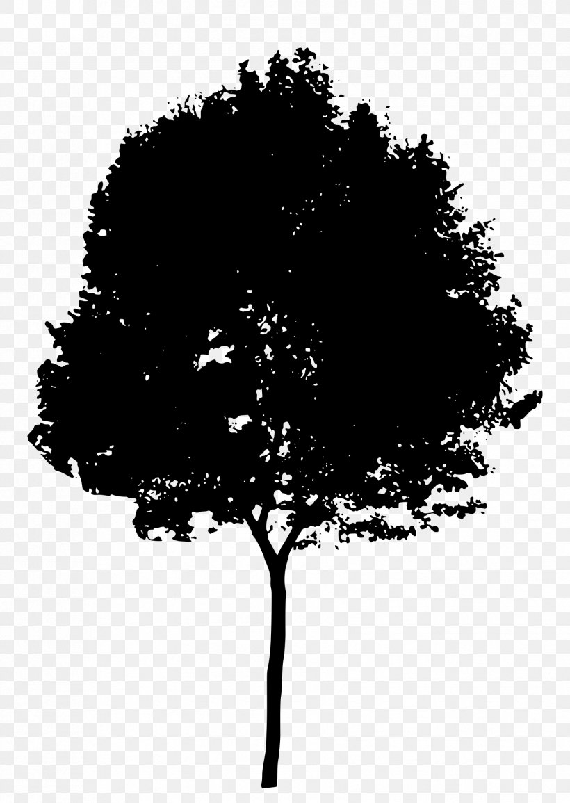 Tree Silhouette Clip Art, PNG, 1703x2400px, Tree, Black And White, Branch, Leaf, Monochrome Download Free