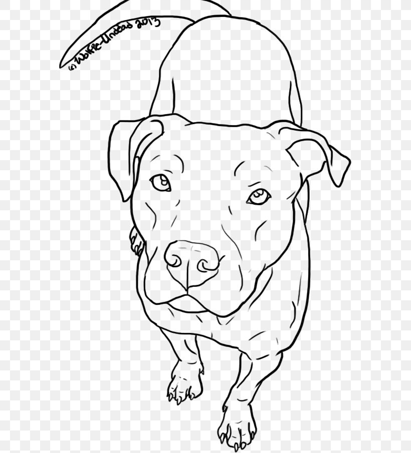 American Pit Bull Terrier Drawing Line Art, PNG, 585x905px, Pit Bull, American Pit Bull Terrier, Area, Art, Black Download Free
