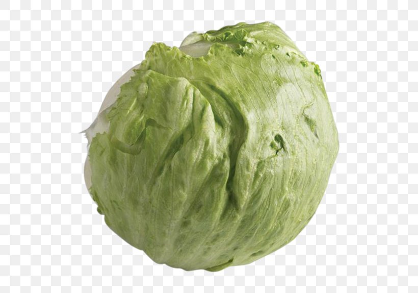 Iceberg Lettuce Lettuce Soup Lettuce Sandwich Cabbage Vegetable, PNG, 600x574px, Iceberg Lettuce, Brassica Oleracea, Cabbage, Collard Greens, Cruciferous Vegetables Download Free