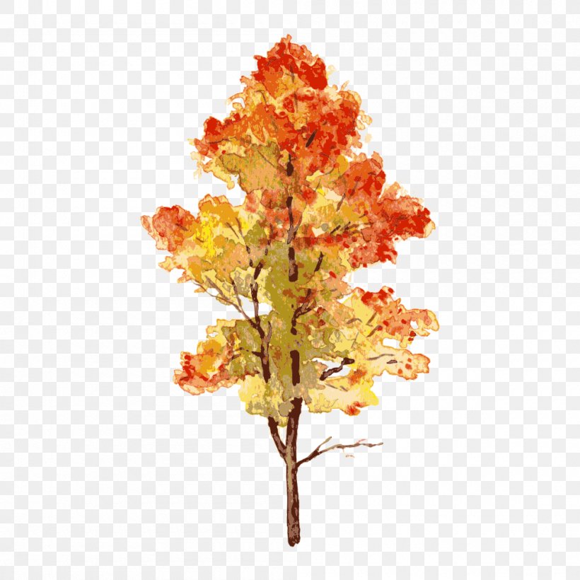 Autumn Leaf, PNG, 1000x1000px, Tree, Autumn, Autumn Leaf Color, Branch, Deciduous Download Free