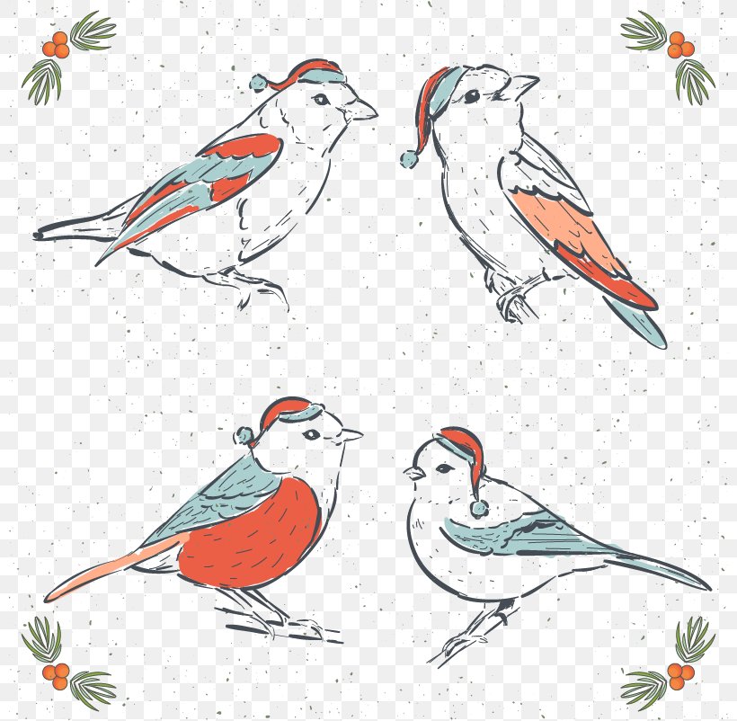 Bird Drawing Euclidean Vector Illustration, PNG, 801x802px, Bird, Art, Beak, Branch, Creative Arts Download Free