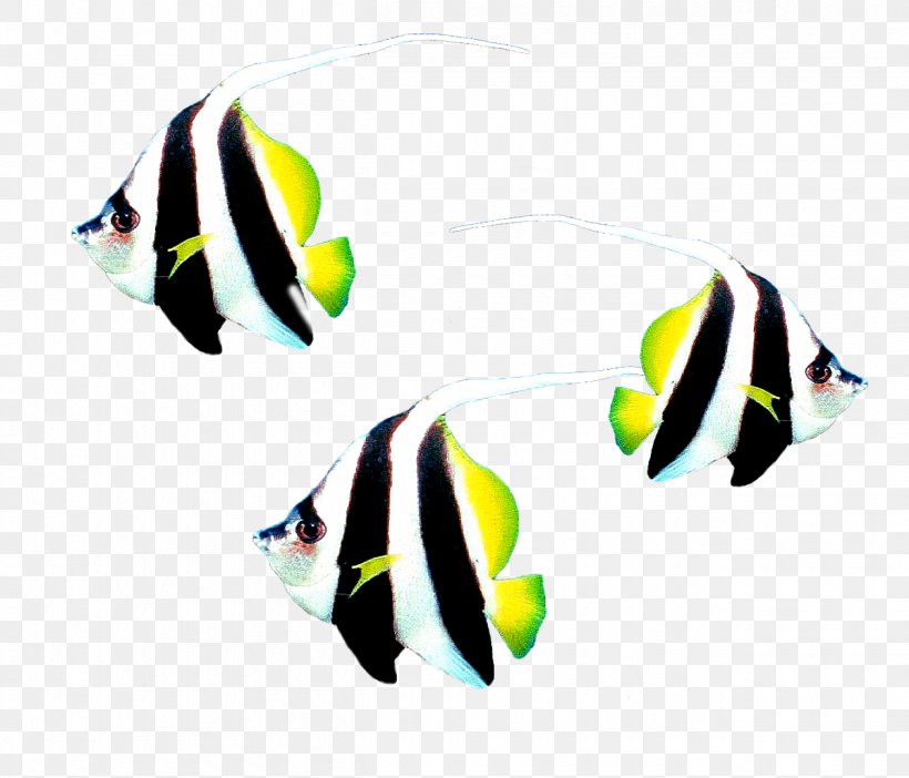 Fish Digital Image Clip Art, PNG, 1260x1080px, Fish, Digital Image, Display Resolution, Full Hd, Ornamental Fish Download Free