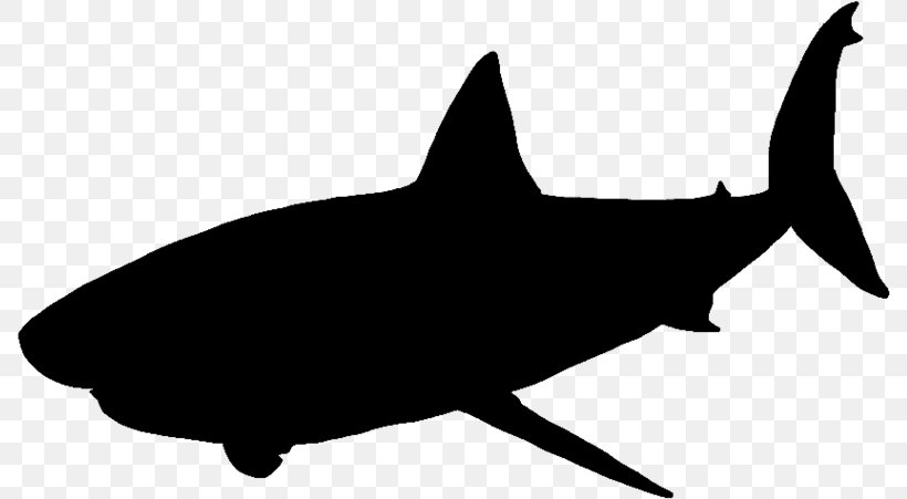 Great White Shark Vector Graphics Silhouette, PNG, 790x451px, Shark