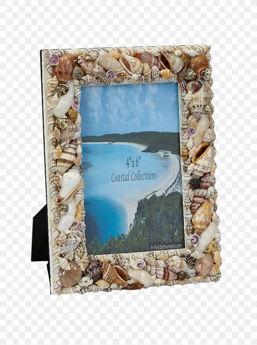 Picture Frames Seashell Glass Beach, PNG, 912x1225px, Picture Frames, Beach, Craft, Email, Gift Download Free