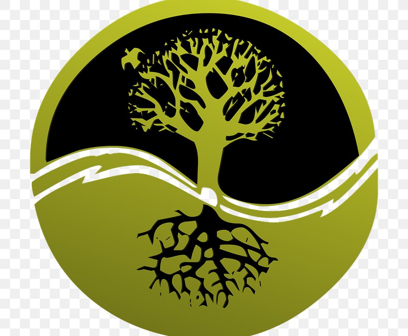 Root Tree Clip Art, PNG, 727x675px, Root, Flora, Green, Logo, Organism Download Free