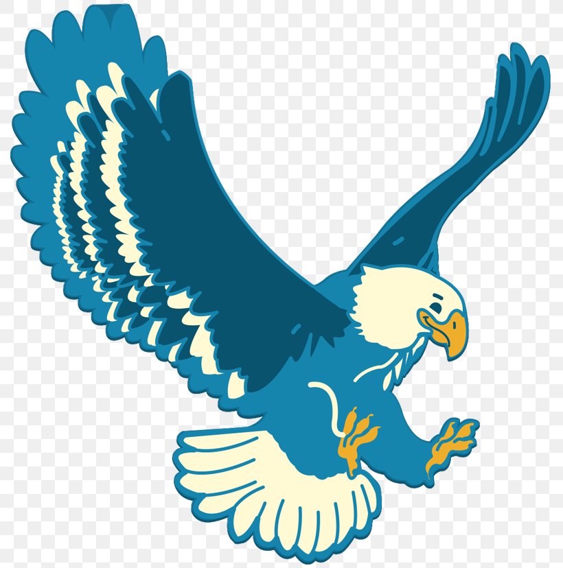Bald Eagle Enadia Way Child Elementary School, PNG, 800x828px, Bald Eagle, Accipitriformes, Beak, Bird, Bird Of Prey Download Free