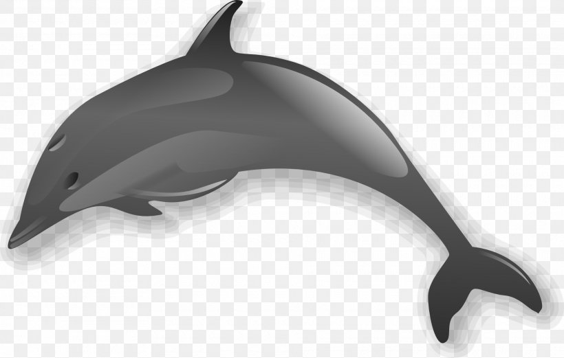 Bottlenose Dolphin Clip Art, PNG, 1920x1221px, Dolphin, Black And White, Bottlenose Dolphin, Cetacea, Common Bottlenose Dolphin Download Free