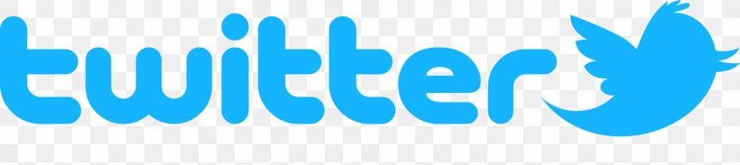 Logo Twitter Image Social Networking Service Graphics, PNG, 1600x359px, Logo, Blue, Brand, Google Logo, Sky Download Free