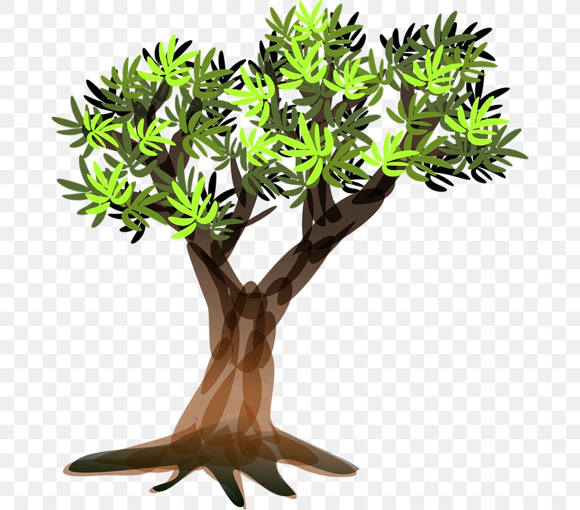 Clip Art Vector Graphics Tree Branch, PNG, 674x720px, Tree, Branch, Drawing, Flowerpot, Houseplant Download Free