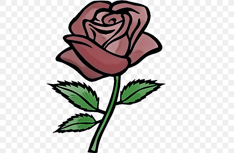 Garden Roses, PNG, 493x536px, Pink, Flower, Garden Roses, Plant, Rose Download Free