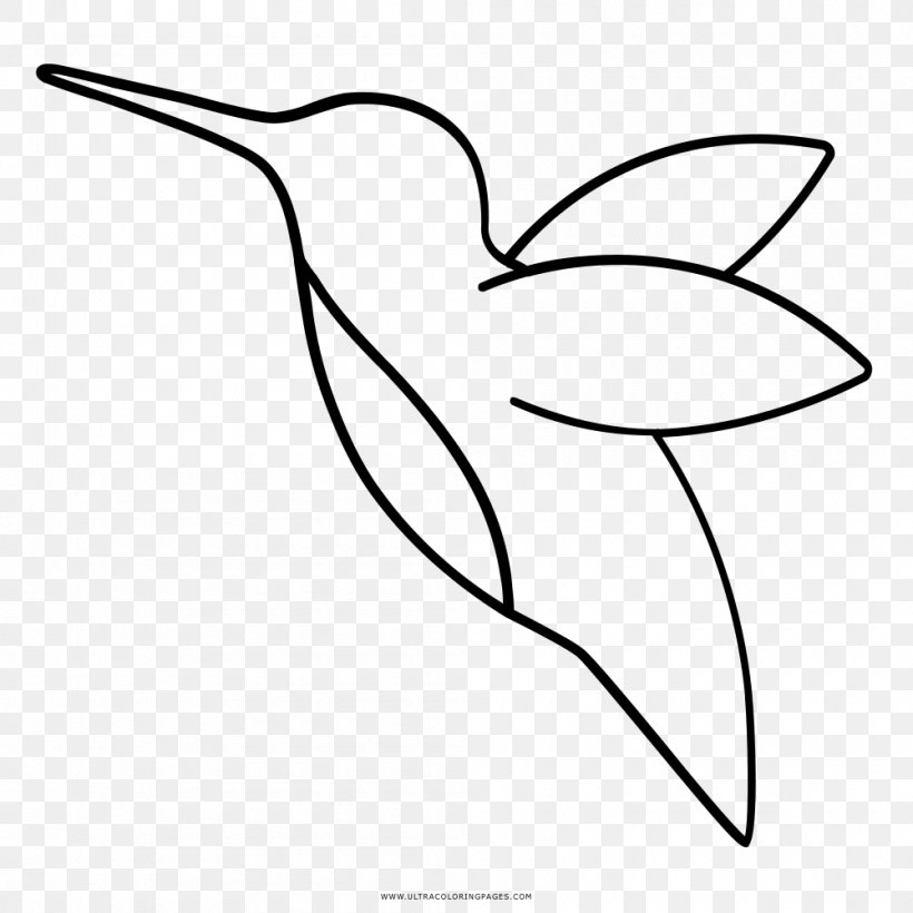 Hummingbird Drawing Beak Black And White Clip Art, PNG, 1000x1000px, Hummingbird, Area, Art, Artwork, Ausmalbild Download Free