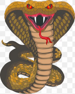 Cobra Mascot Cliparts - King Cobra Snake Clip Art PNG