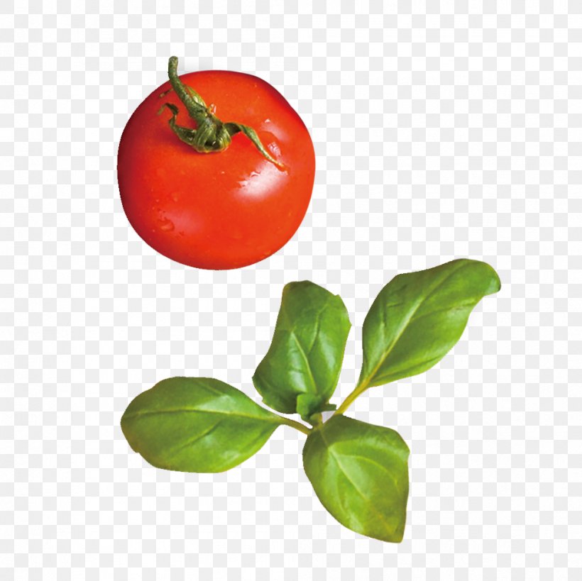 Tomato Red Rouge Tomate, PNG, 996x995px, Tomato, Apple, Bell Peppers And Chili Peppers, Designer, Diet Food Download Free