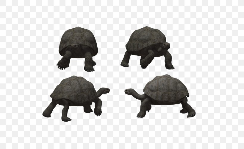 Tortoise Turtle Reptile, PNG, 600x500px, Tortoise, Animal, Crawling, Drawing, Fauna Download Free